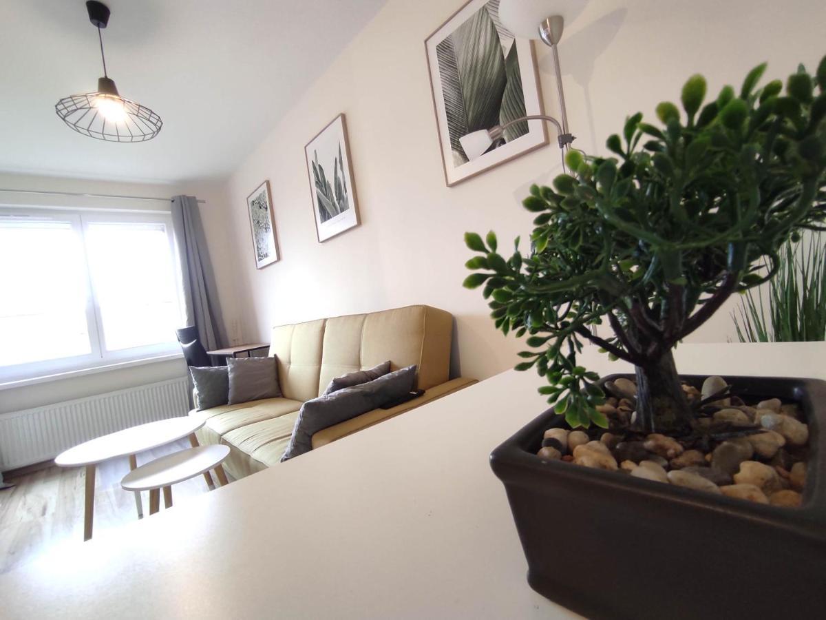 ***Casablanca Apartament*** - 40M² ✓ リブニク エクステリア 写真